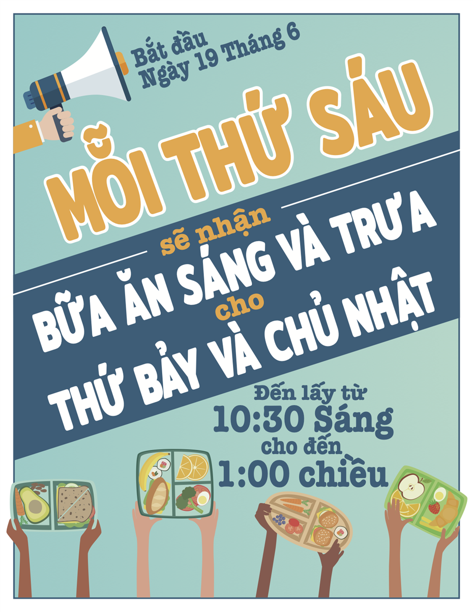 Vietnamese flyer 